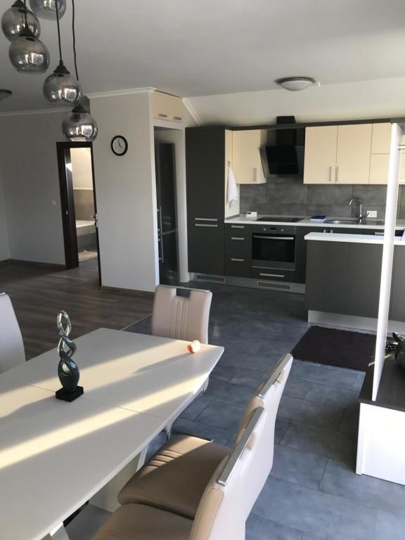 Апартаменты Green Energy Apartment Берегово-24