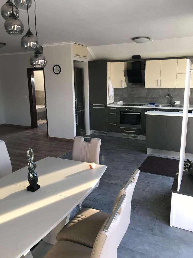 Апартаменты Green Energy Apartment Берегово-7