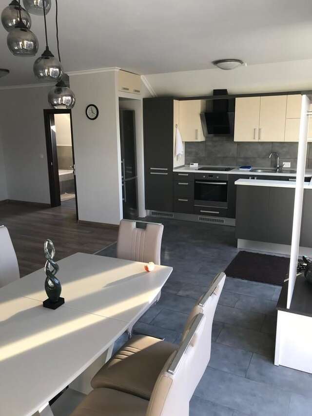 Апартаменты Green Energy Apartment Берегово-6